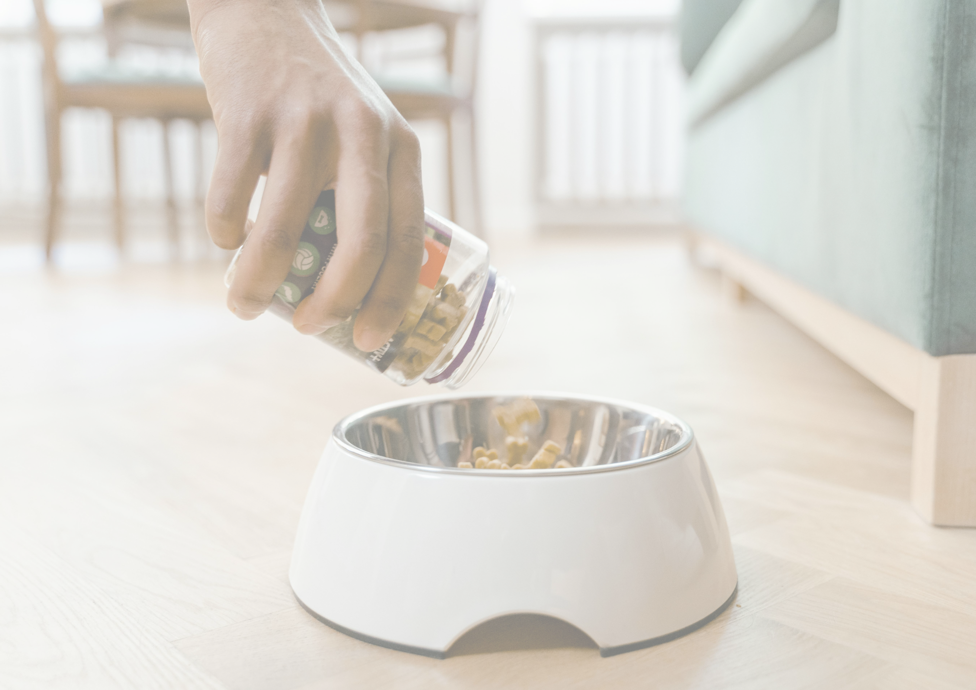 Dierenvoeding & verzorging