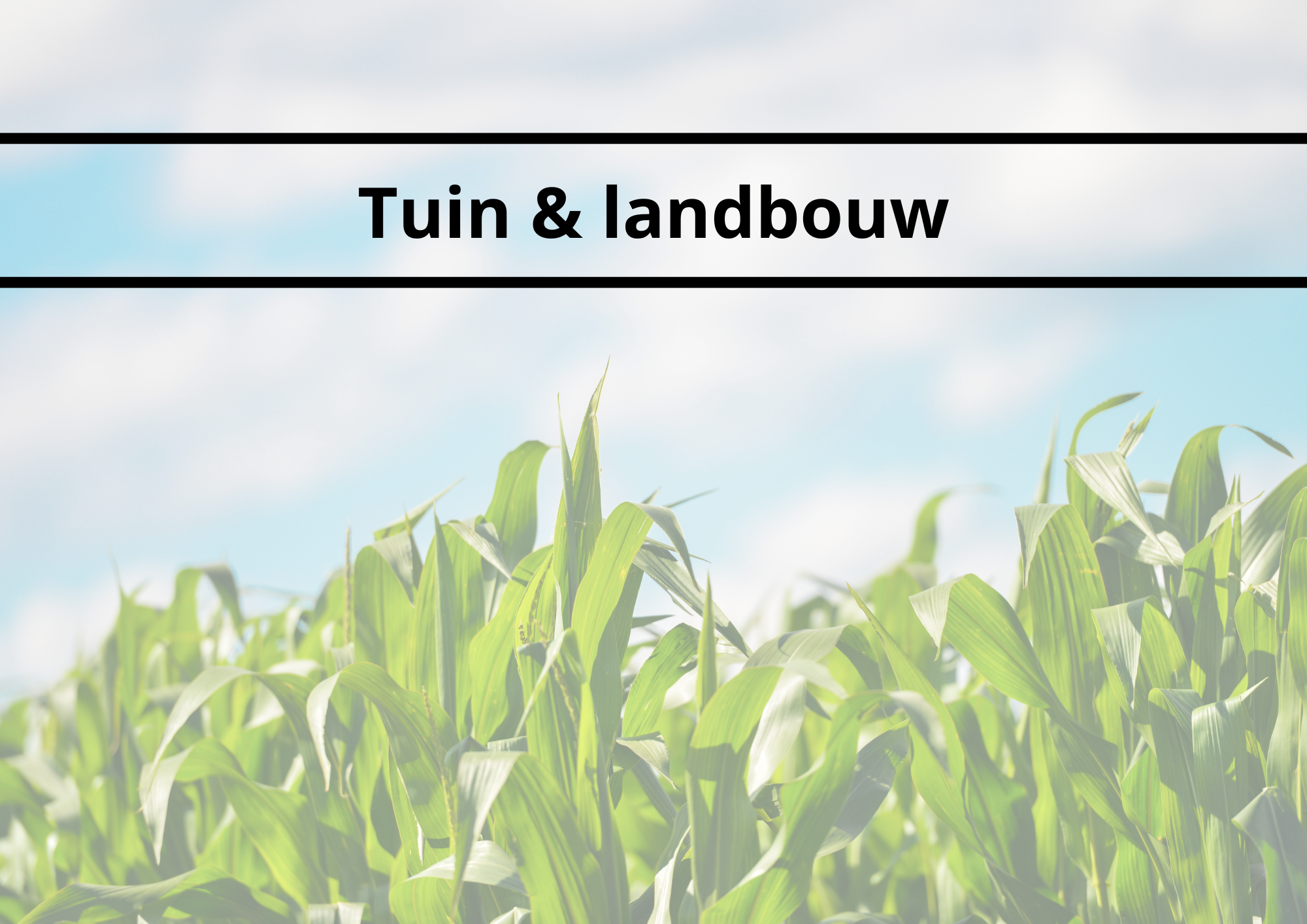 Sector in de kijker: Tuin-& landbouw